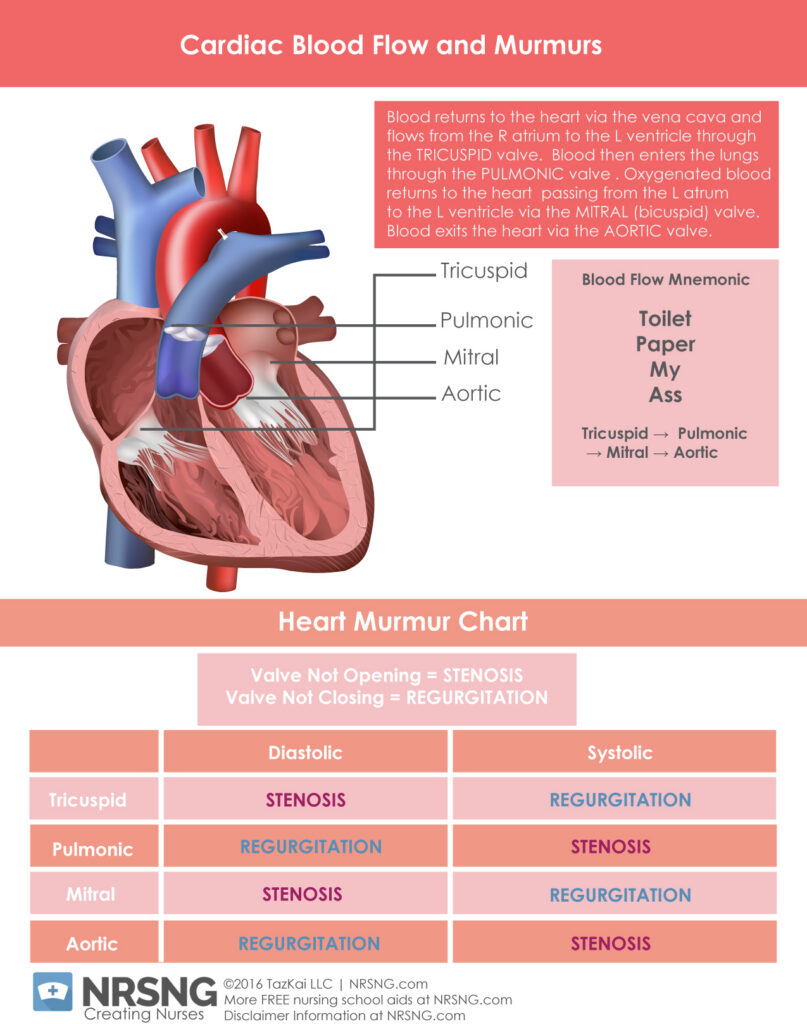 Example of Friday Freebie Cheat Sheet