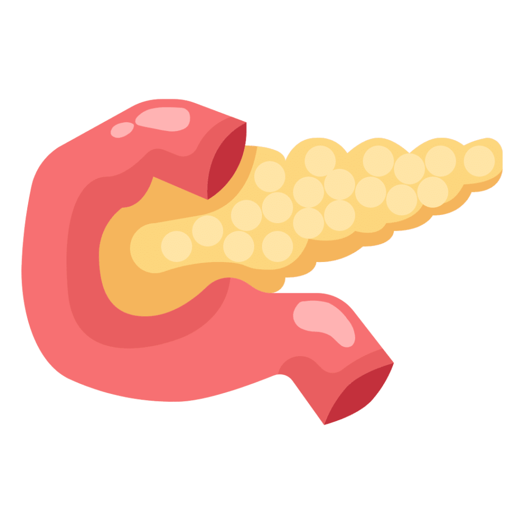 kidney image for diabetes
