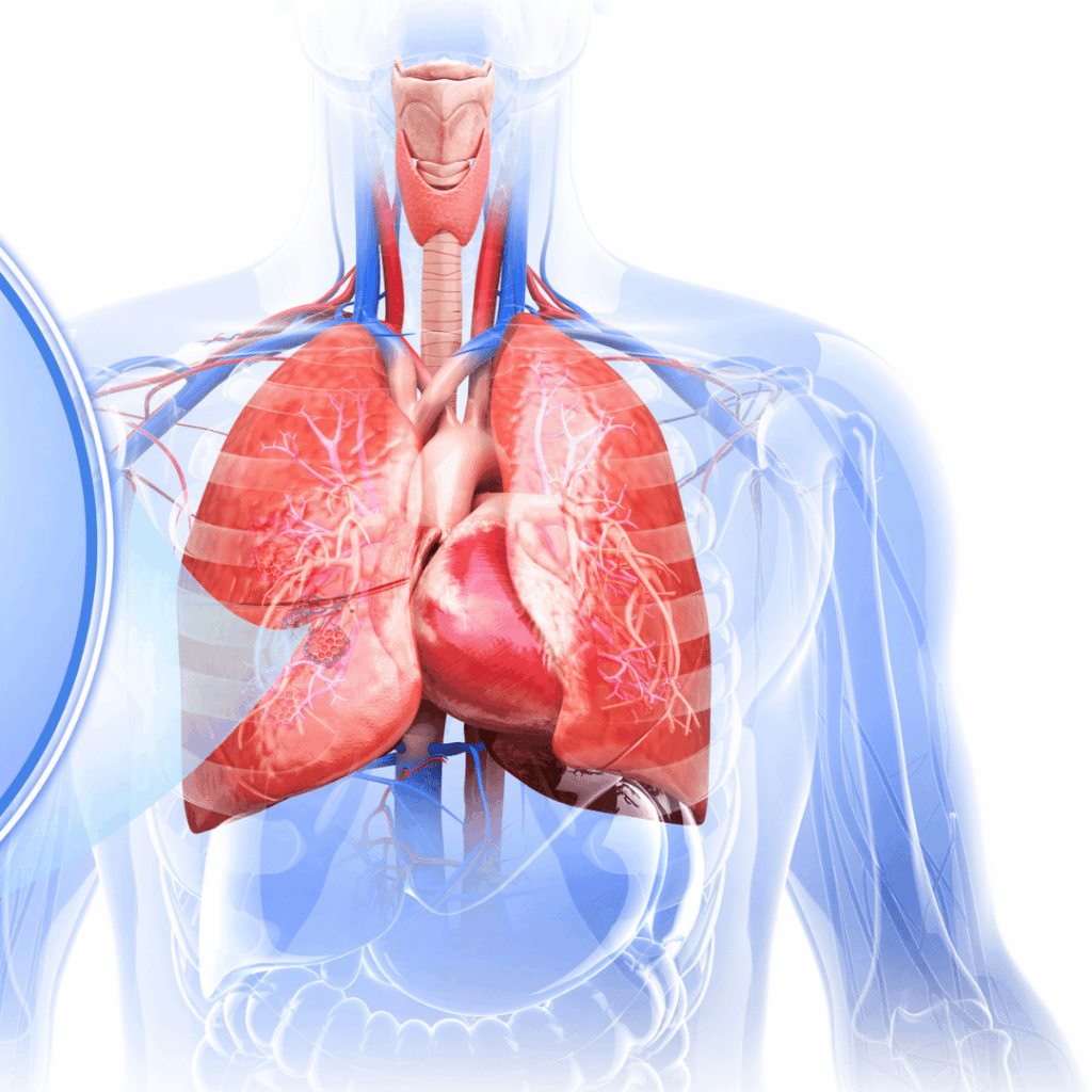 nclex prep alveoli atelectasis