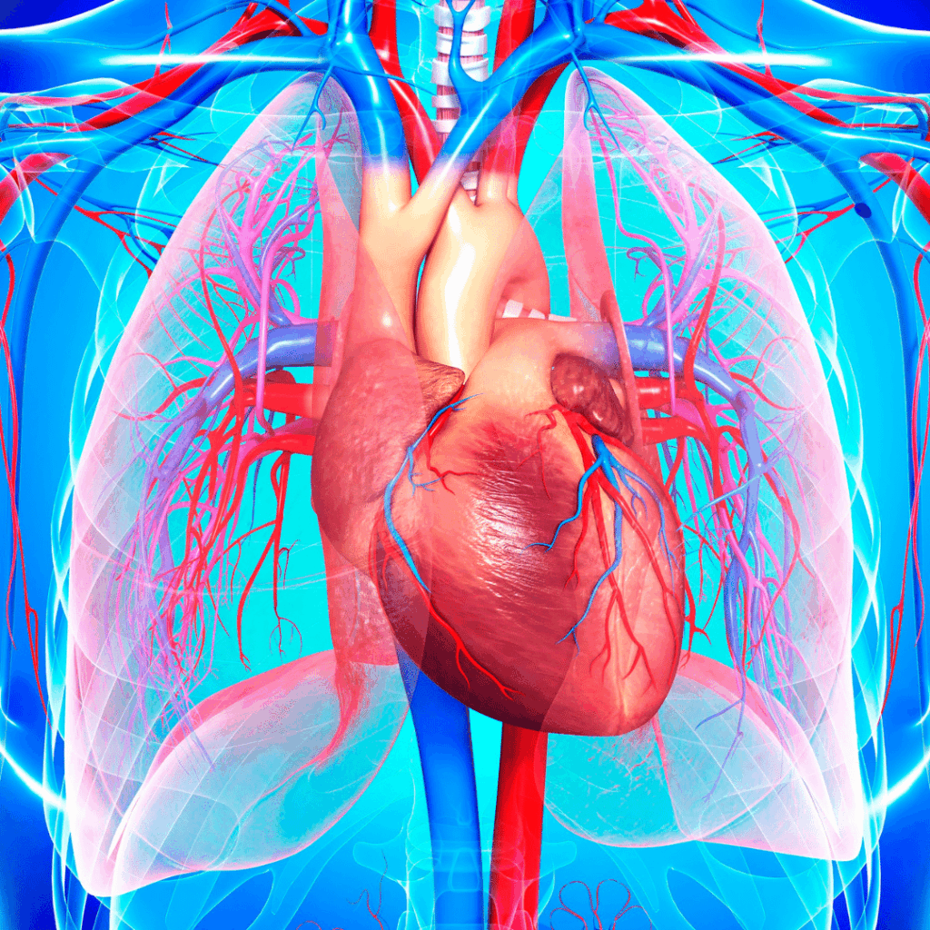 nclex review for cardiac shock