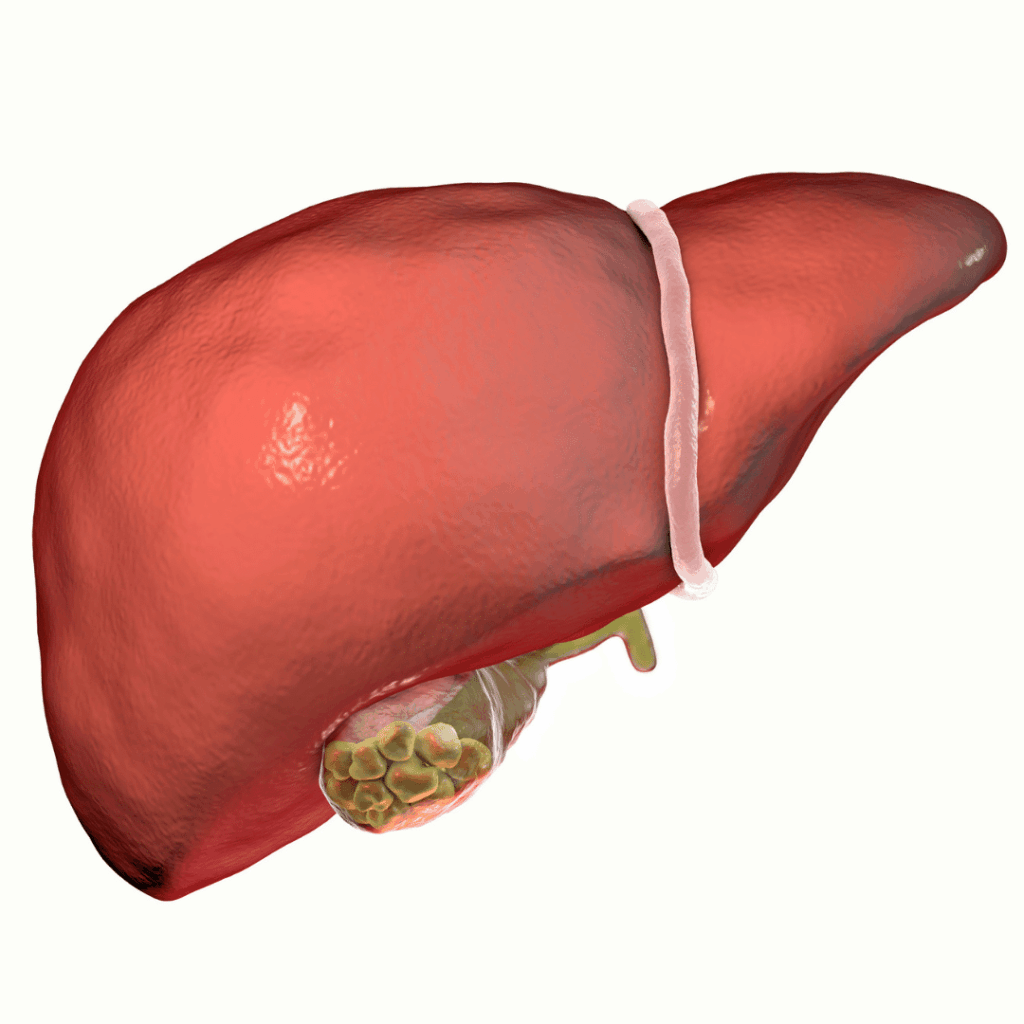 nclex review for nursing students