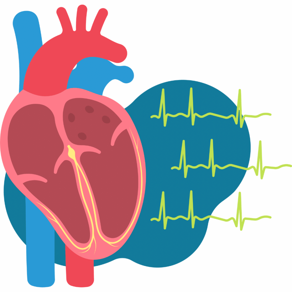 Congenital Heart Defects nclex prep