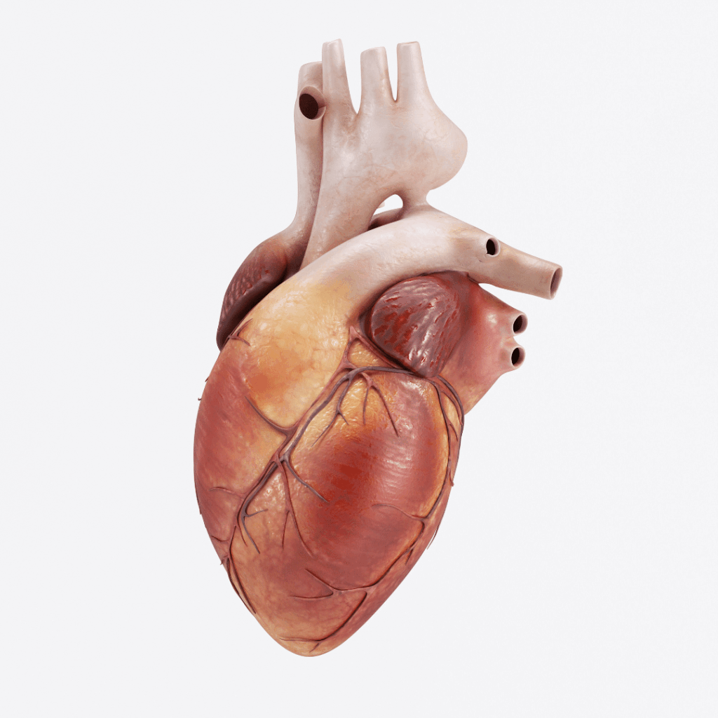 nursing student nclex review course