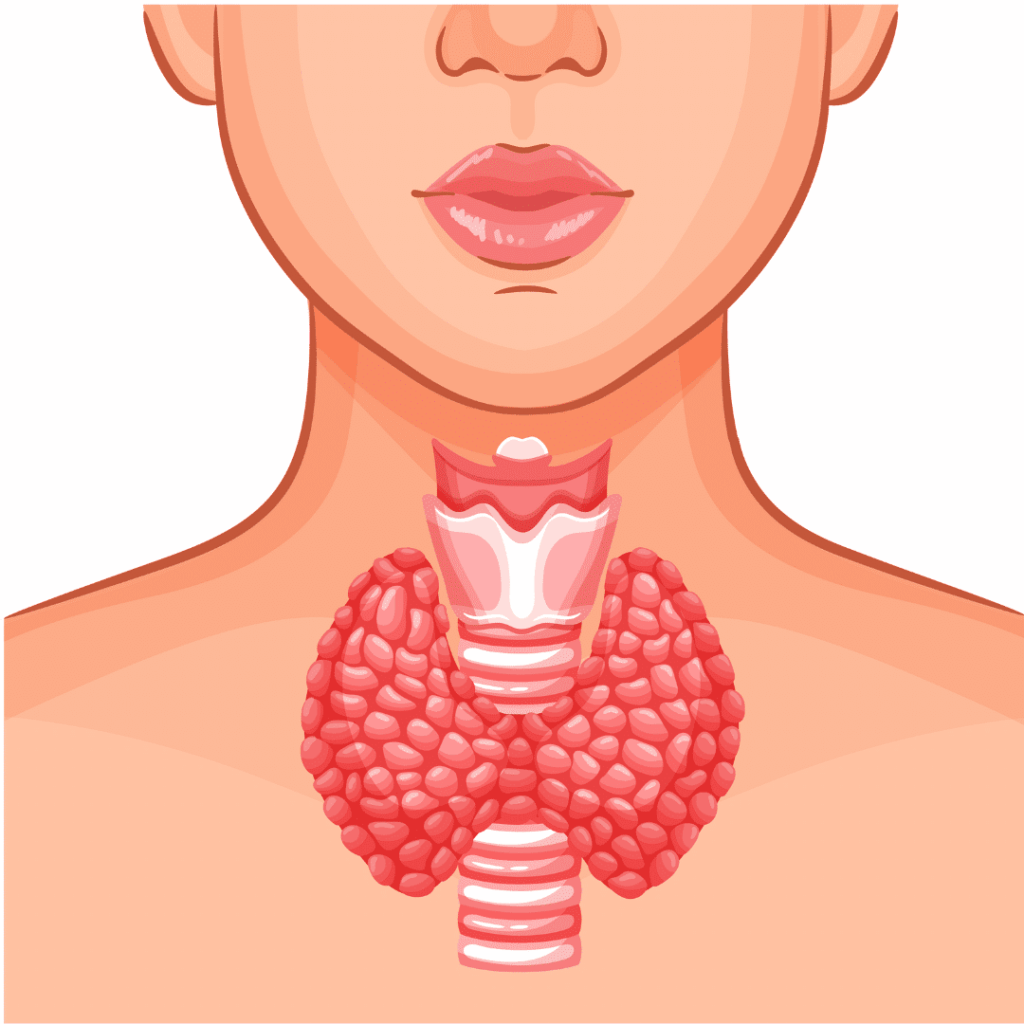 nclex prep hyperthyroidism
