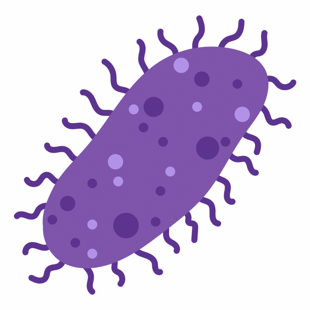 Infections (in Pregnancy) nclex prep