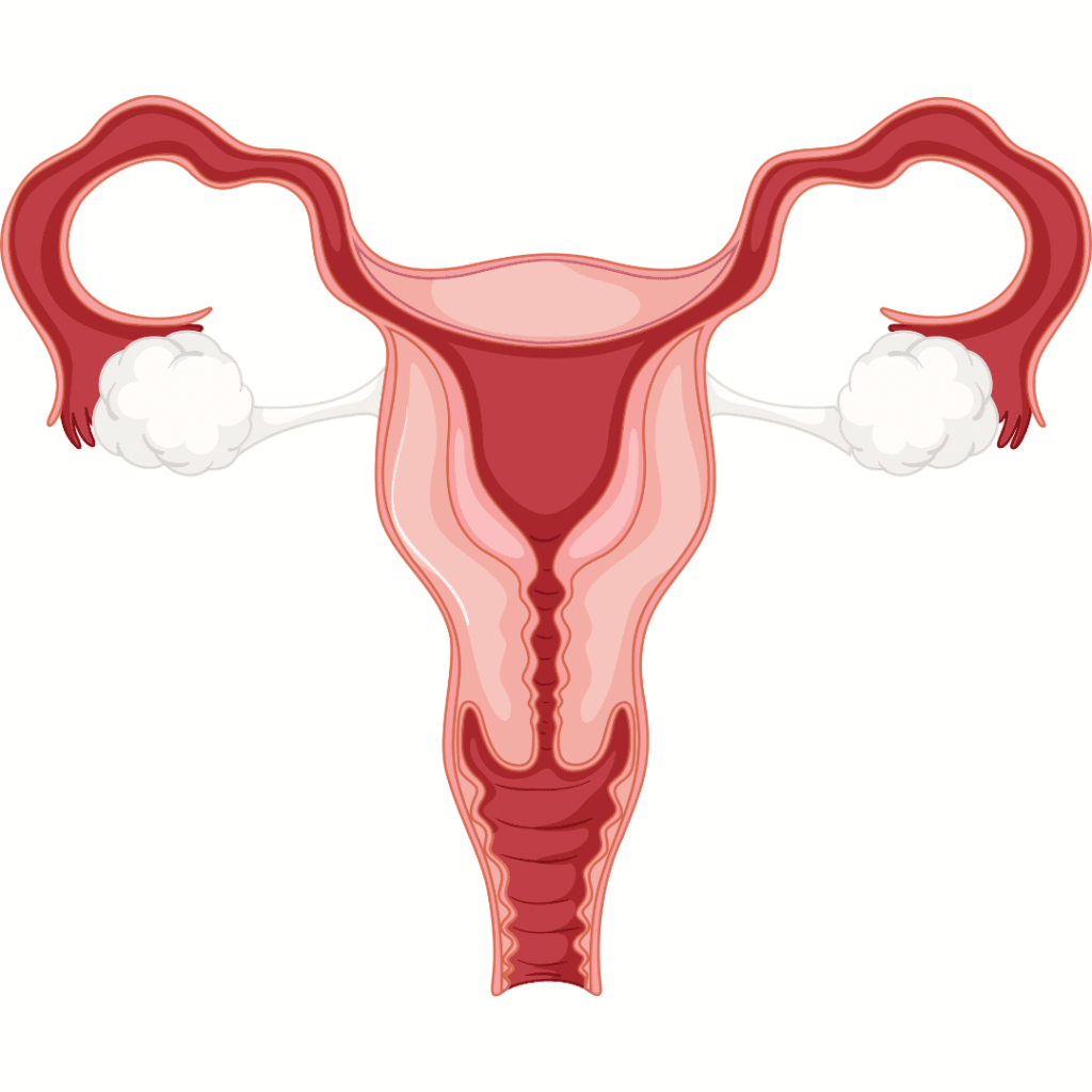 menopause nclex prep review
