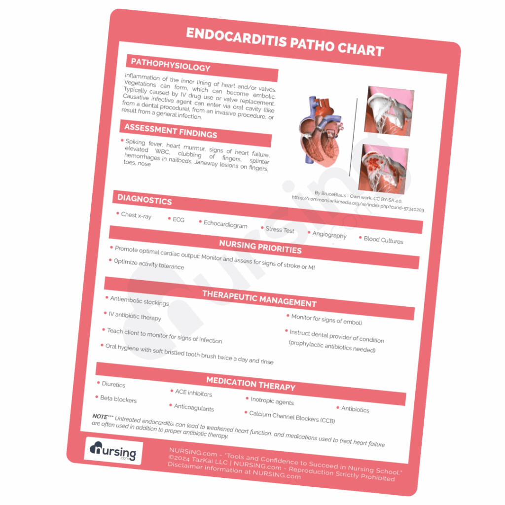 nursing.com nclex cheatsheets