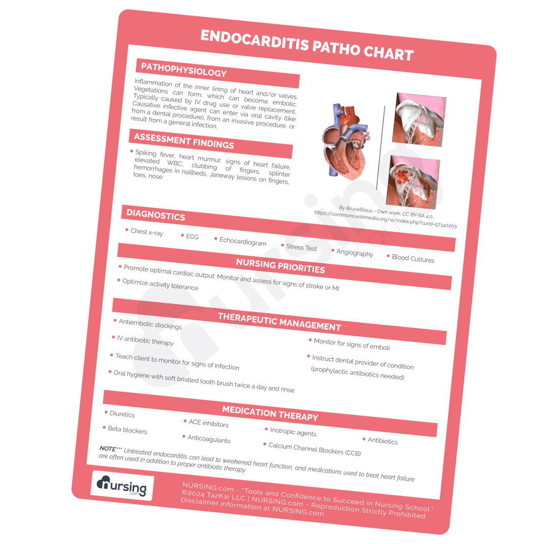 nursing.com nclex cheatsheets