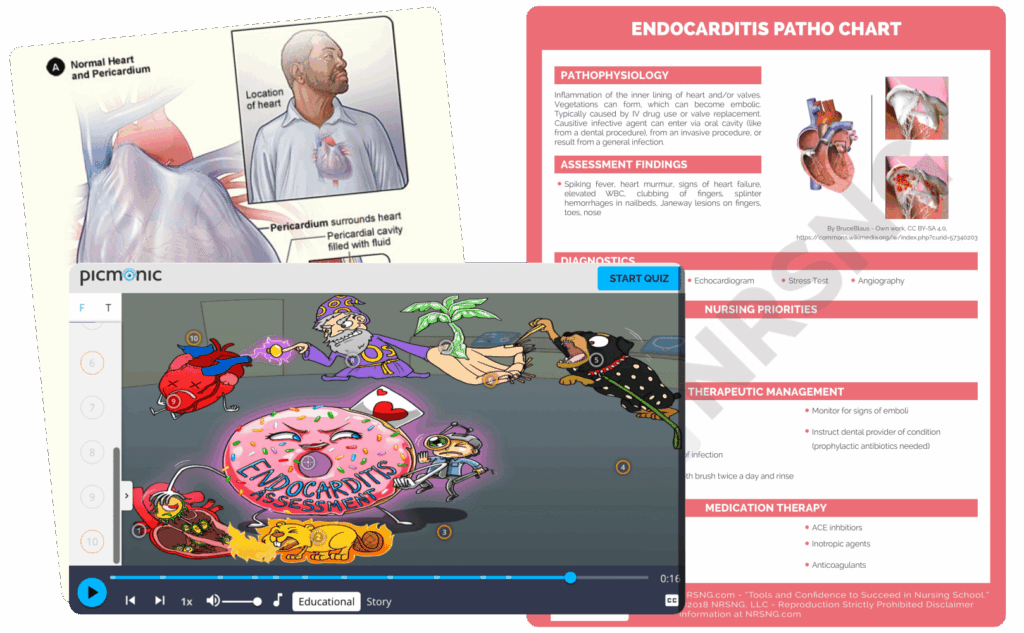 nursing cheat sheets with your nursing.com membership for nursing students who need visual tools