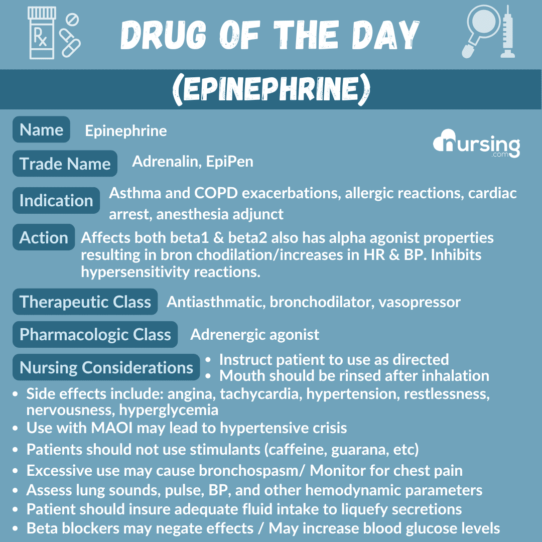 A detailed pharmacology drug card for Epinephrine, designed for nursing students, including its uses, dosage, contraindications, side effects, and nursing considerations, presented in an organized format.