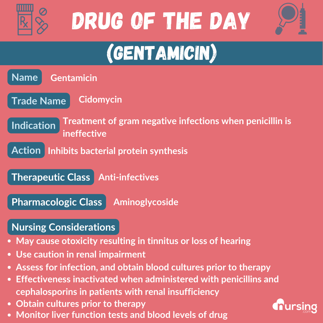 A detailed pharmacology drug card for Gentamicin, designed for nursing students, including its uses, dosage, contraindications, side effects, and nursing considerations, presented in an organized format.