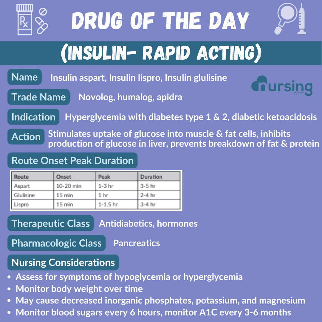A detailed pharmacology drug card for Rapid-Acting Insulin, designed for nursing students, including its uses, dosage, contraindications, side effects, and nursing considerations, presented in an organized format.
