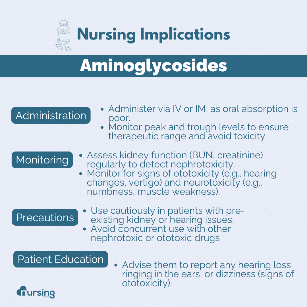 An educational guide for nursing students on aminoglycoside antibiotics, detailing their uses, mechanisms of action, common side effects, contraindications, and key nursing implications, presented in a clear and organized format to support pharmacology studies.