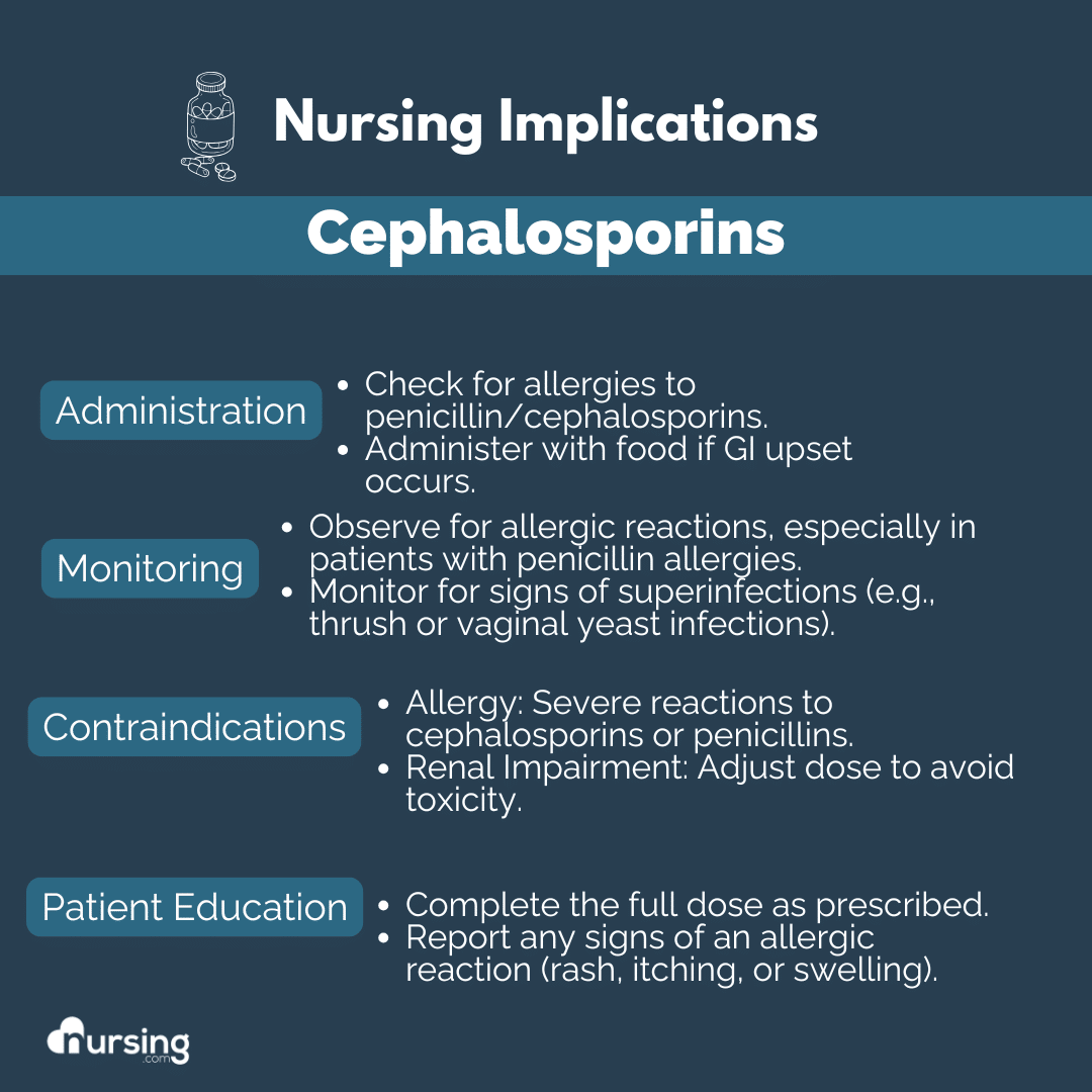 An educational guide for nursing students on cephalosporins, detailing their classification, uses, mechanisms of action, common side effects, contraindications, and key nursing implications, presented in a clear and organized format for easy understanding.