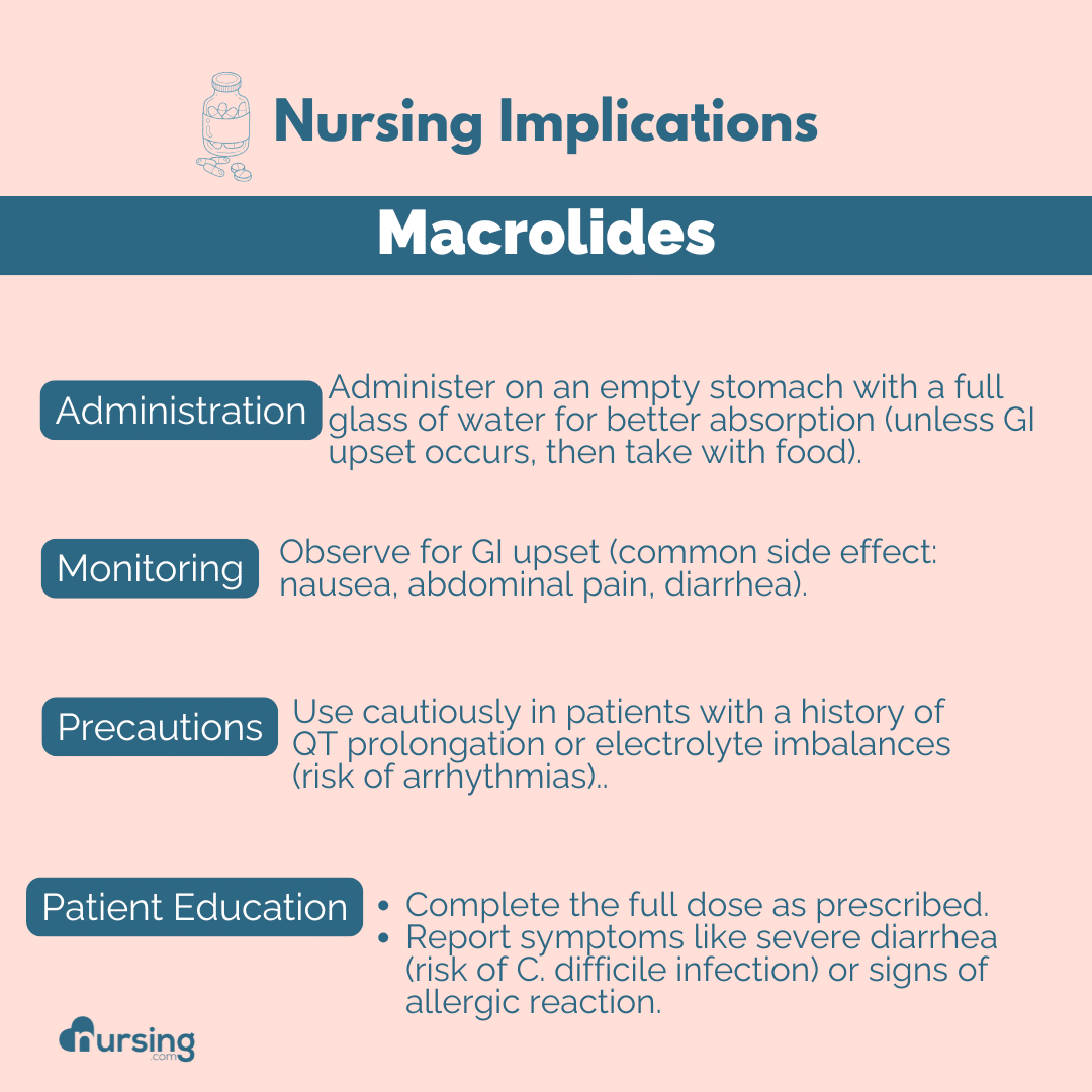 An educational guide for nursing students on macrolide antibiotics, detailing their uses, mechanisms of action, common side effects, contraindications, and key nursing implications, presented in a clear and organized format for effective pharmacology learning.