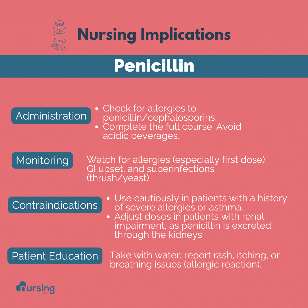 An educational guide for nursing students on penicillin antibiotics, covering their uses, mechanisms of action, common side effects, contraindications, and key nursing implications, presented in a clear and organized format to support pharmacology studies.