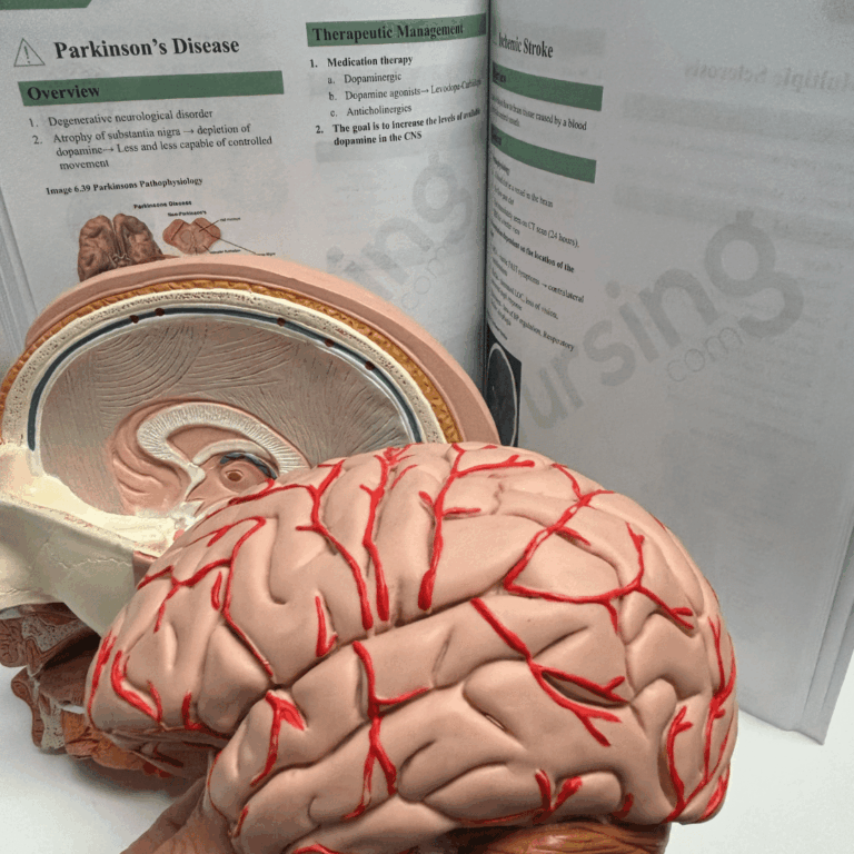 NURSING.com’s concise nursing school lesson videos help nursing students master difficult topics quickly. With easy-to-follow explanations and high-yield content, it’s a powerful NCLEX prep tool and a top alternative to UWorld.