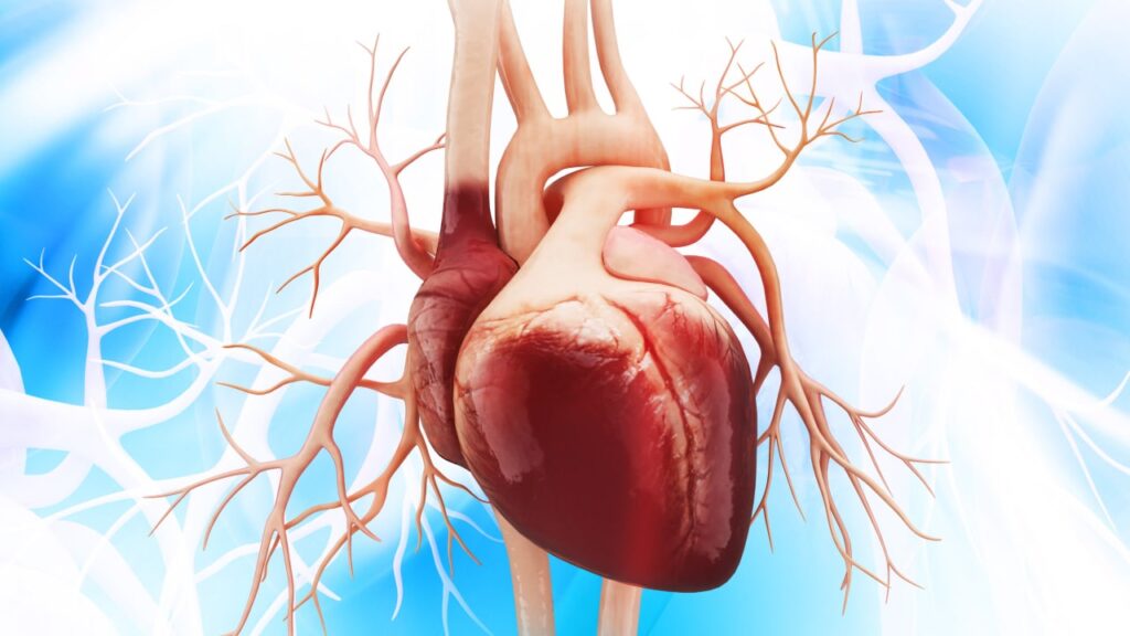 cardiac lesson for nursing students to prepare for the nclex exam