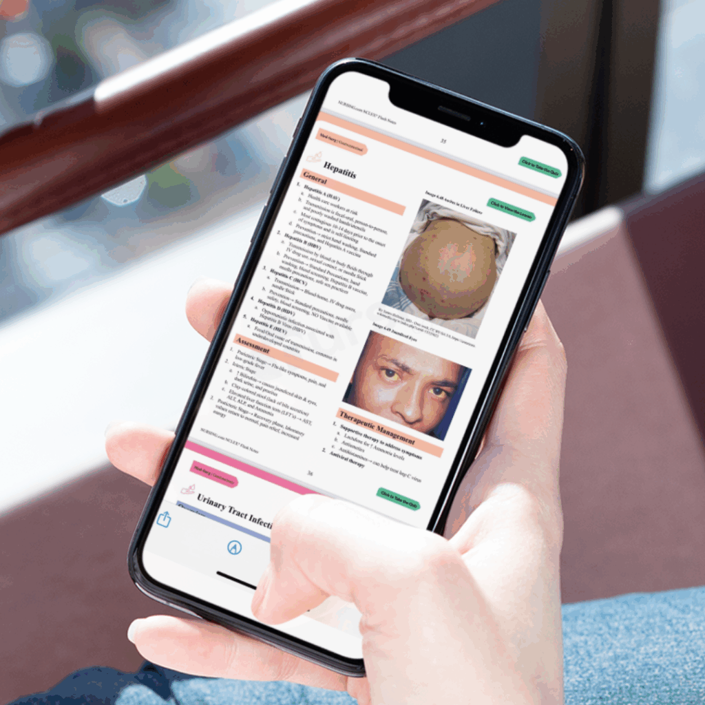 Comprehensive digital nursing PDF with visual summaries for NCLEX-ready learning.