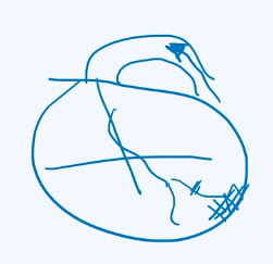 Not all drawings are pretty, but they help you to understand, like this picture of a heard that is a rough outline