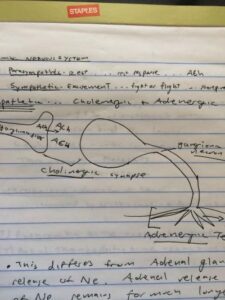 drawing included with notes