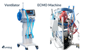Ventilator and ecmo machine